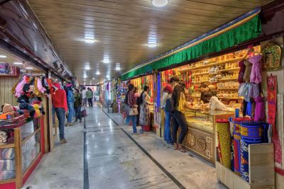 Hotel Ibex Manali